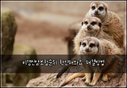비갱신암보험순위 확인해봐요 해결방법