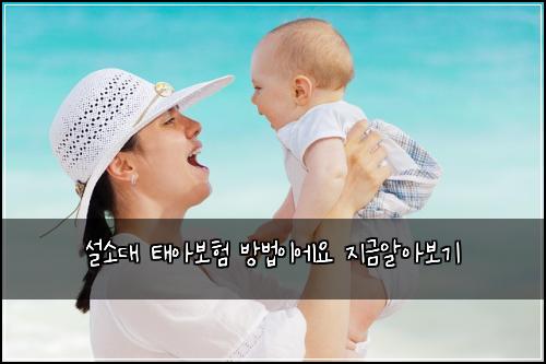 설소대 태아보험 방법이에요  지금알아보기