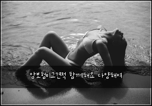 암보험비교견적 함께해요 다양해여