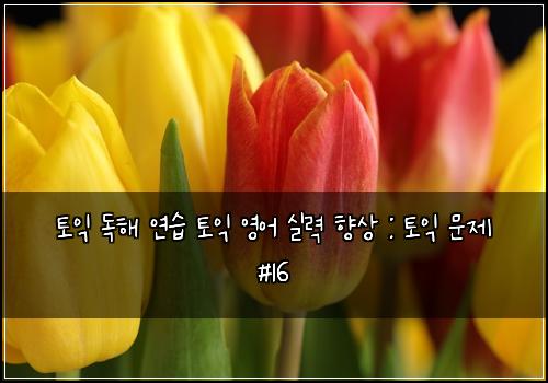 토익 독해 연습 토익 영어 실력 향상 : 토익 문제 #16