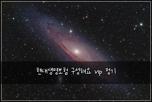 ํ๋์๋ช
๋ณดํ ๊ตฌ์ฑํด์ vip ์ ๊ธฐ