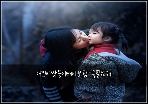 어린이쌍둥이태아보험 꼭필요해 