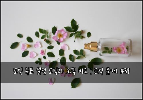 토익 목표 설정 토익과 오픽 비교 : 토익 문제 #39