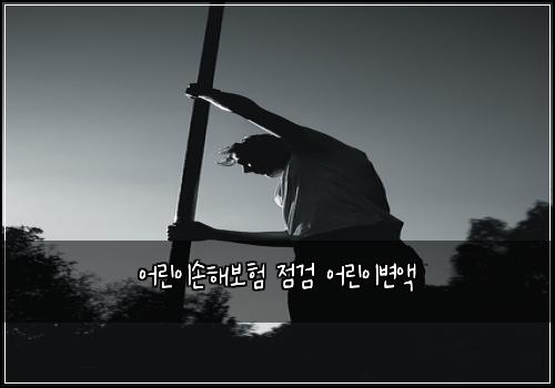 어린이손해보험 점검  어린이변액