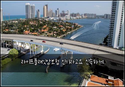 라이프플래닛암보험 인기라고요  신속하게