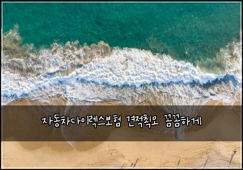 자동차다이렉스보험 견적쵝오  꼼꼼하게
