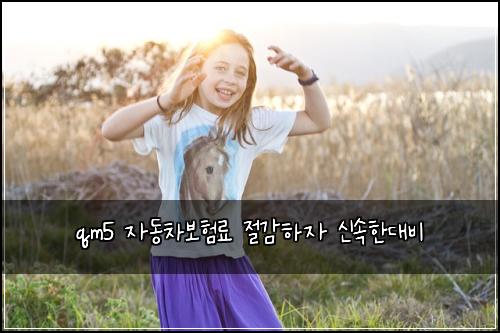 qm5 ์๋์ฐจ๋ณดํ๋ฃ ์ ๊ฐํ์ ์ ์ํ๋๋น