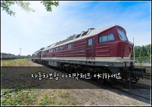 자동차보험 마지막체크  어디하세요