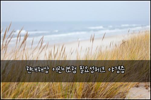 ํ๋ํด์ ์ด๋ฆฐ์ด๋ณดํ ํ์์ฑ์ฒดํฌ ์ผ๊ฒฝ์ฆ