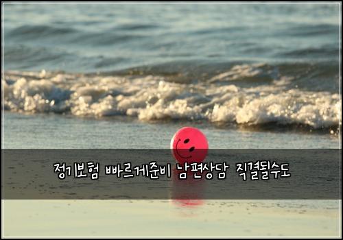 정기보험 빠르게준비  남편상담 직결될수도