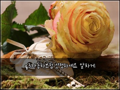 q3자동차보험 선정하세요  알차게