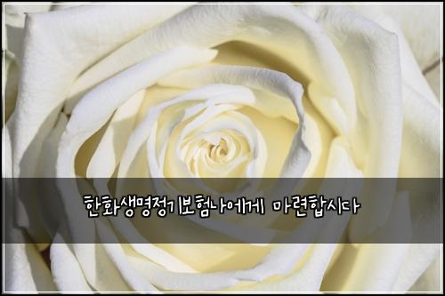 한화생명정기보험나에게 마련합시다