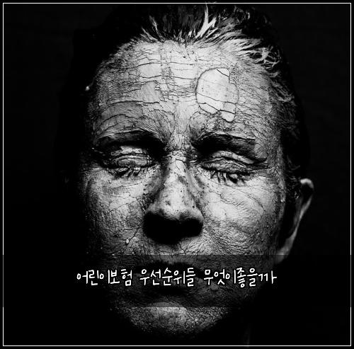 어린이보험 우선순위들  무엇이좋을까