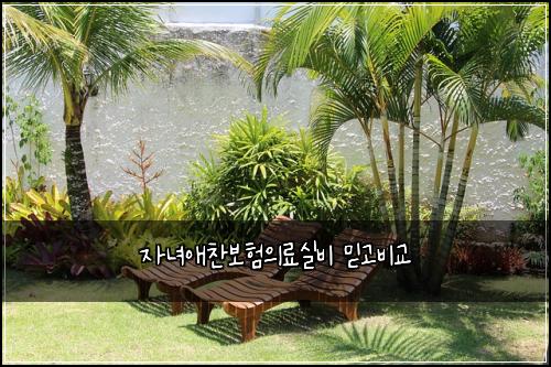 자녀애찬보험의료실비 믿고비교