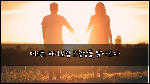 ๋ฉ๋ฆฌ์ธ ํ์๋ณดํ ๋ณดํ์ํ ์์๋ณด์