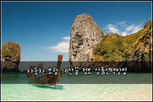 자동차 보험 계산끝  정보 상품선택방법