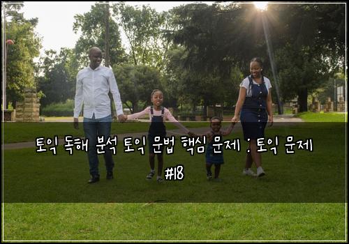 토익 독해 분석 토익 문법 핵심 문제 : 토익 문제 #18