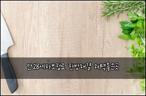만28세차보험료 한방해결 혜택좋은곳