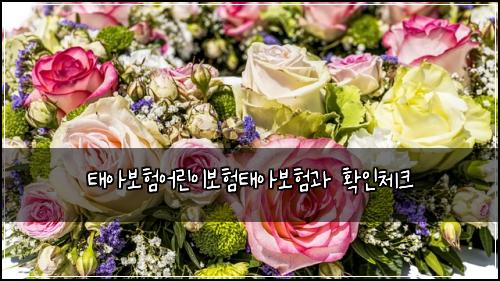 ํ์๋ณดํ์ด๋ฆฐ์ด๋ณดํํ์๋ณดํ๊ณผ ํ์ธ์ฒดํฌ