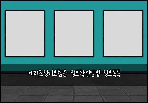 메리츠정기보험은 정보확인방법 정보톡톡