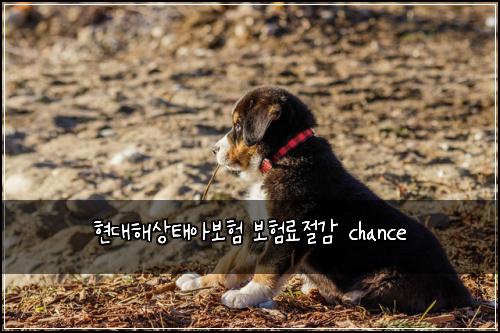 현대해상태아보험 보험료절감  chance