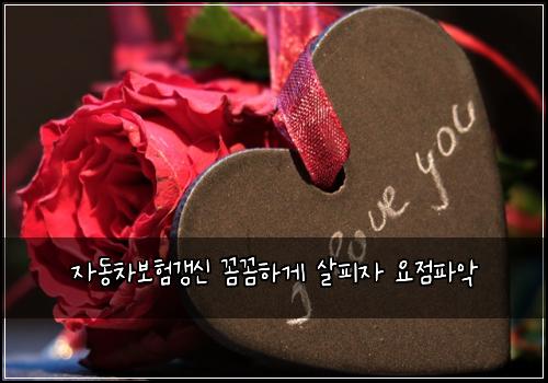 자동차보험갱신 꼼꼼하게 살피자 요점파악