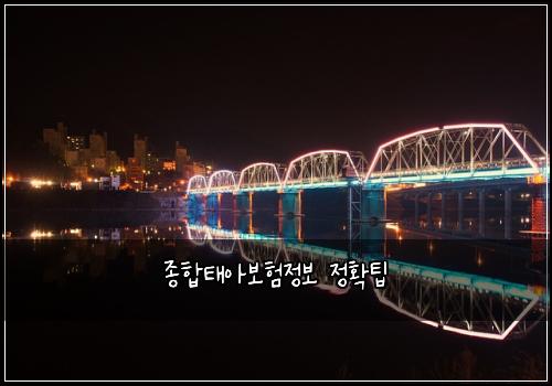 종합태아보험정보 정확팁