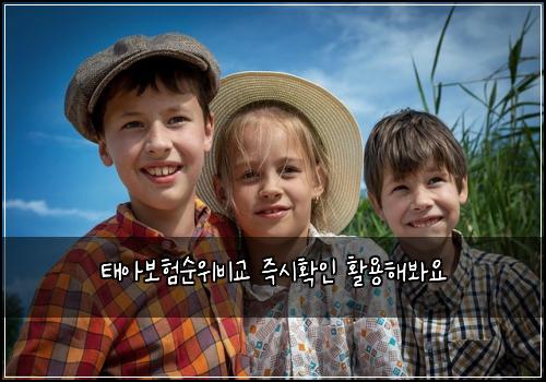 태아보험순위비교 즉시확인 활용해봐요