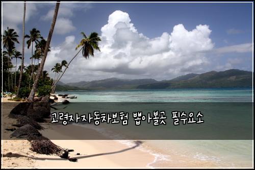 고령자자동차보험 뽑아볼곳  필수요소
