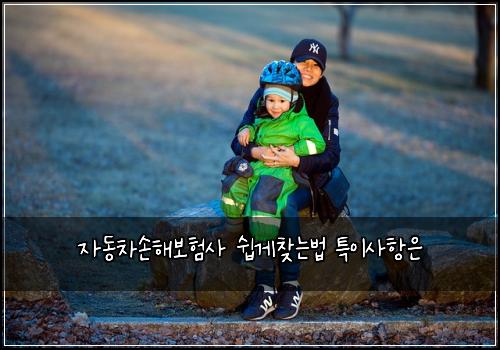 자동차손해보험사 쉽게찾는법 특이사항은