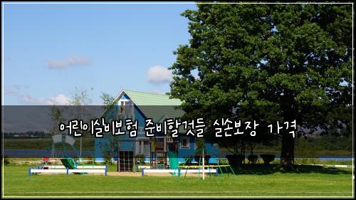 어린이실비보험 준비할것들  실손보장 가격