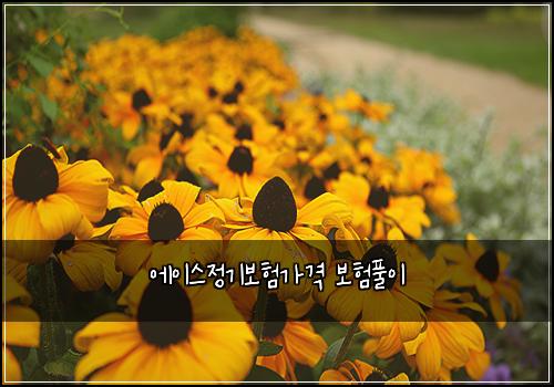 에이스정기보험가격 보험풀이