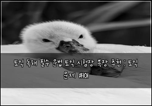 토익 독해 필수 문법 토익 시험장 복장 추천 : 토익 문제 #101