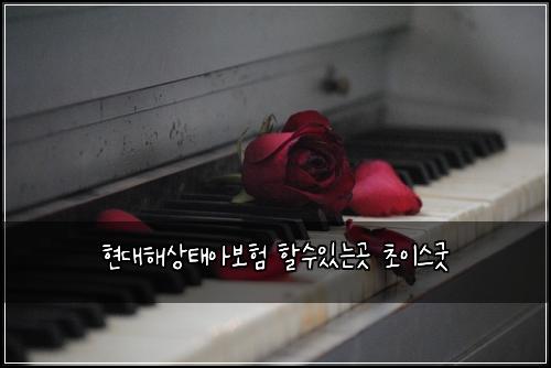 현대해상태아보험 할수있는곳  초이스굿