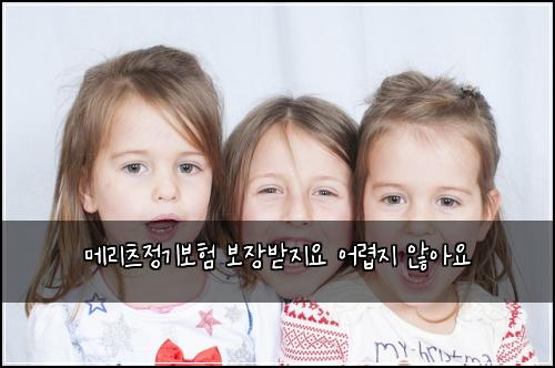 메리츠정기보험 보장받지요  어렵지 않아요