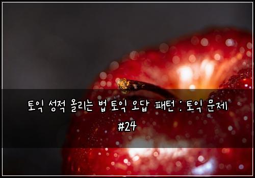 토익 성적 올리는 법 토익 오답 패턴 : 토익 문제 #24
