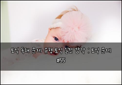 토익 독해 문제 유형 토익 실전 감각 : 토익 문제 #55