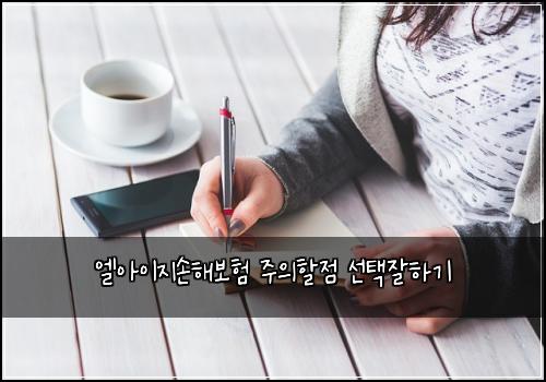 엘아이지손해보험 주의할점  선택잘하기
