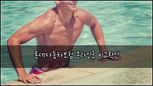 롯데자동차보험 온라인굿  비교확인