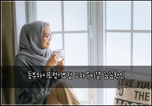 동부하이로정기보험 노하우비결  꼼꼼확인