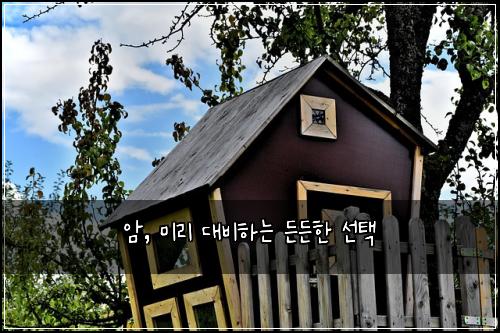 암, 미리 대비하는 든든한 선택