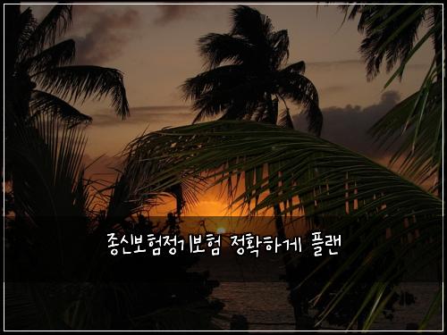 ์ข
์ ๋ณดํ์ ๊ธฐ๋ณดํ ์ ํํ๊ฒ ํ๋