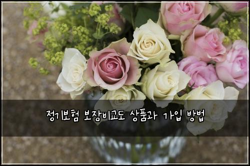 정기보험 보장비교도  상품과 가입 방법