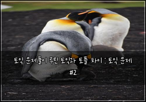 토익 문제풀이 루틴 토익과 토플 차이 : 토익 문제 #2
