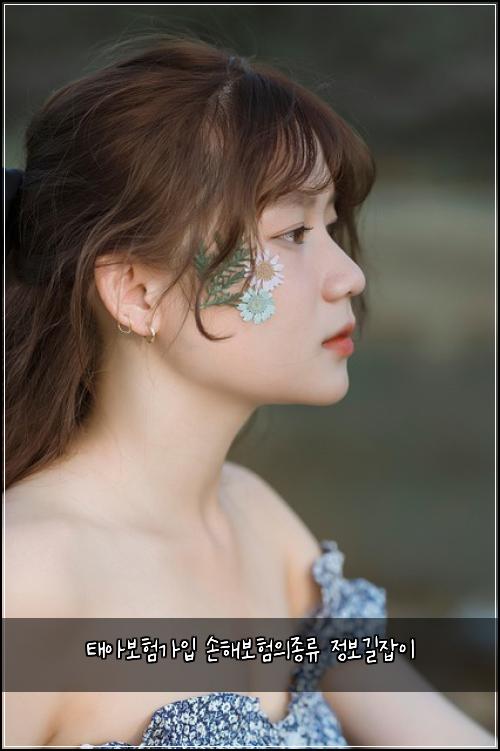 태아보험가입 손해보험의종류 정보길잡이