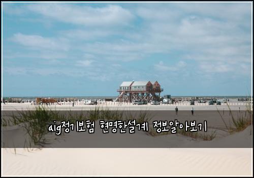 aig정기보험 현명한설계  정보알아보기