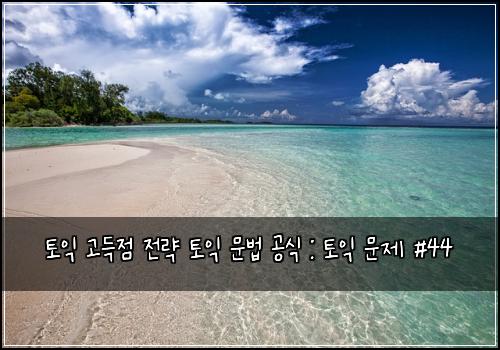 토익 고득점 전략 토익 문법 공식 : 토익 문제 #44