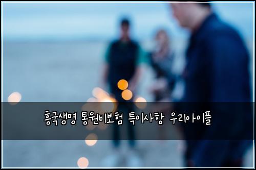 흥국생명 통원비보험 특이사항  우리아이플