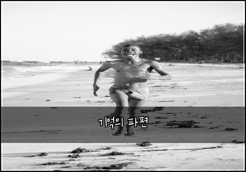 기억의 파편