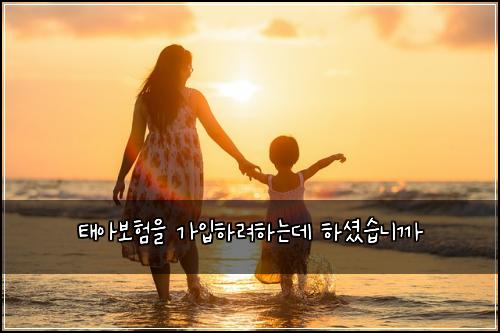 태아보험을 가입하려하는데 하셨습니까